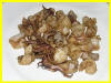 Peppered squid